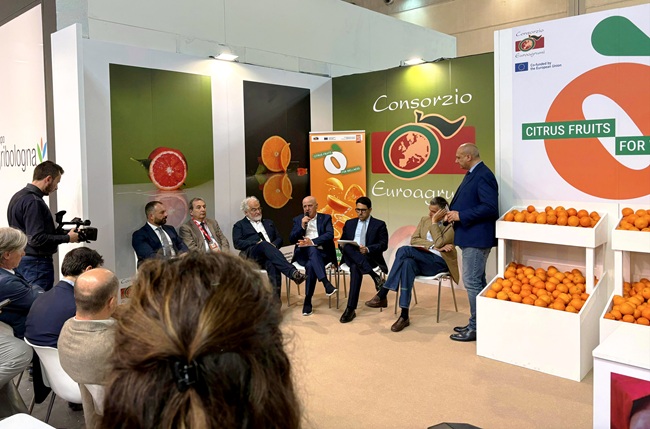 Ribadito a Macfrut 2026 l&rsquo;impegno di Citrus Fruits for Wellness in Italia e Germania