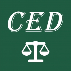 CED Gestione Crediti